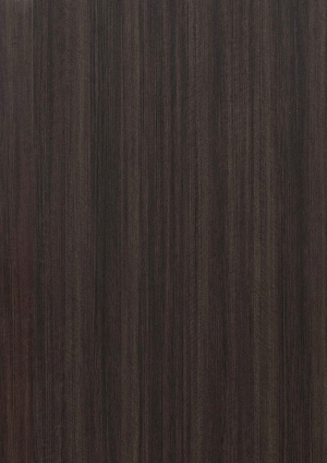 ModernWood Texture