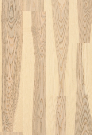 ModernWood Texture