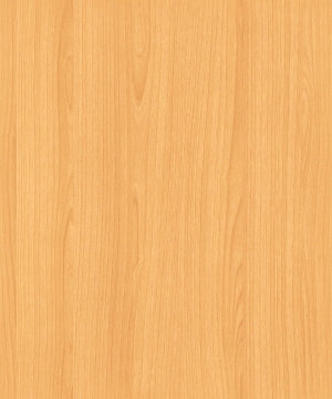 ModernWood Texture