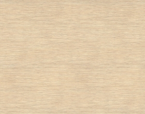 ModernWood Texture