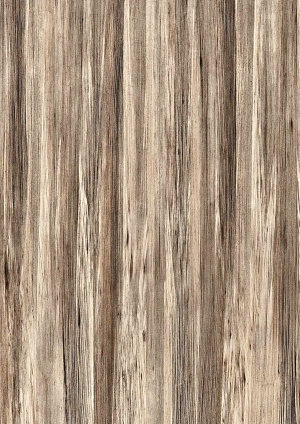 ModernWood Texture