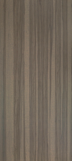 ModernWood Texture