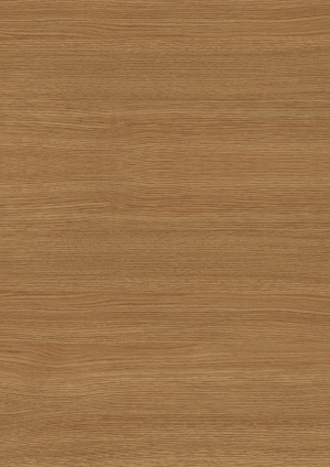 ModernWood Texture
