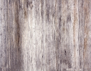 ModernWood Texture