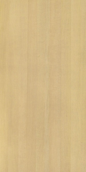 ModernWood Texture