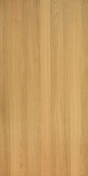 ModernWood Texture