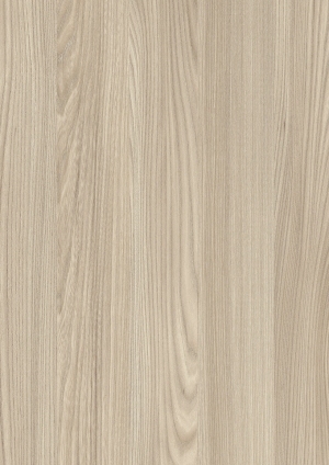 ModernWood Texture