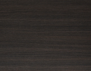 ModernWood Texture