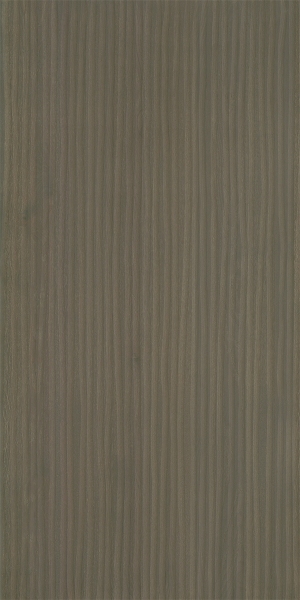 ModernWood Texture