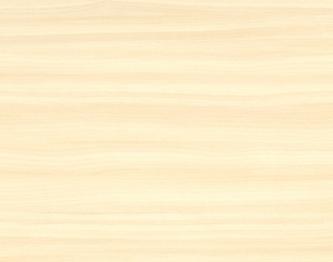 ModernWood Texture