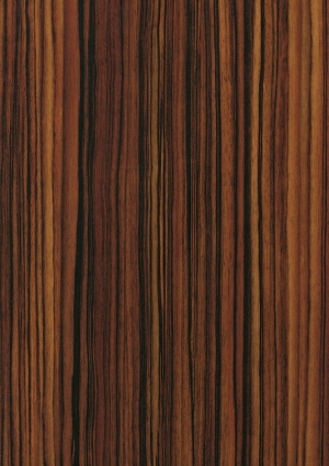 ModernWood Texture