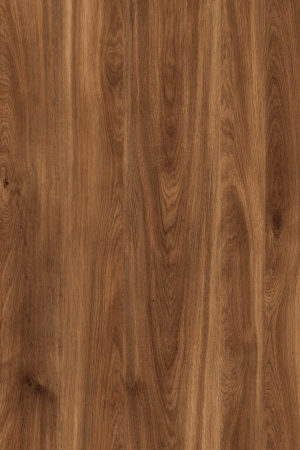 ModernWood Texture