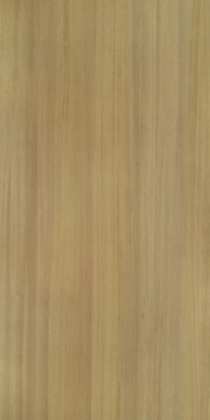 ModernWood Texture
