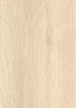 ModernWood Texture