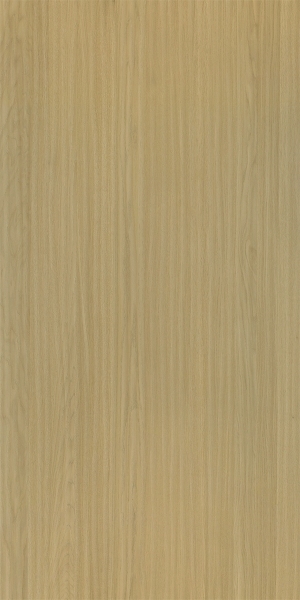 ModernWood Texture