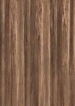 ModernWood Texture