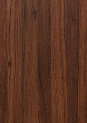 ModernWood Texture