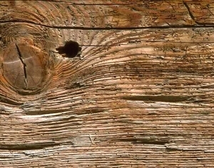 ModernWood Texture