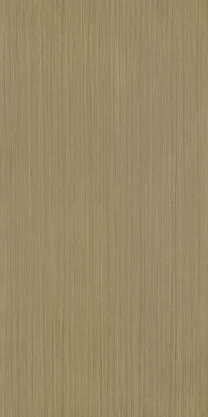 ModernWood Texture