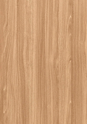 ModernWood Texture