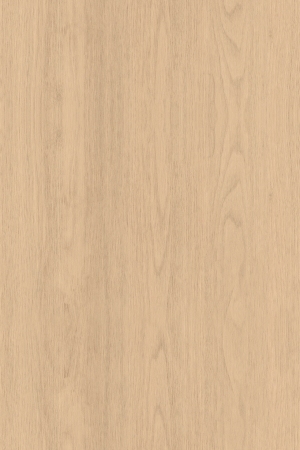 ModernWood Texture