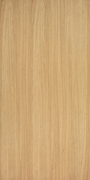 ModernWood Texture