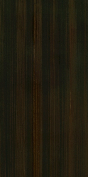 ModernWood Texture