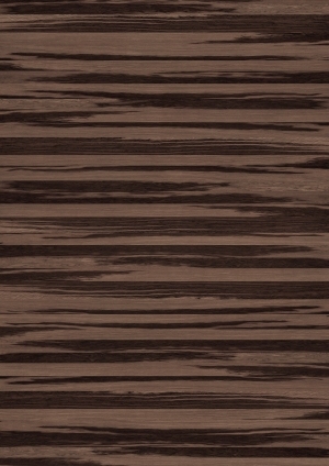 ModernWood Texture
