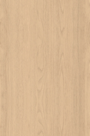 ModernWood Texture