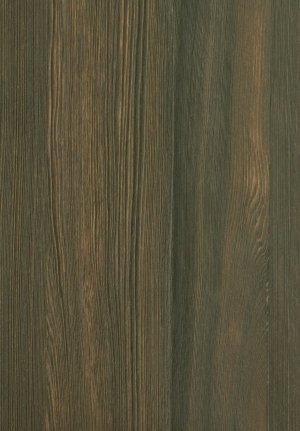 ModernWood Texture