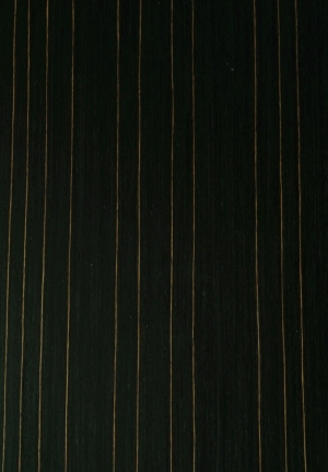 ModernWood Texture