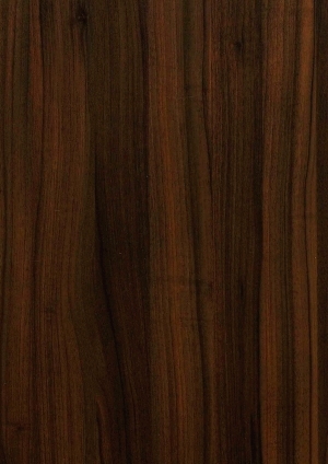 ModernWood Texture