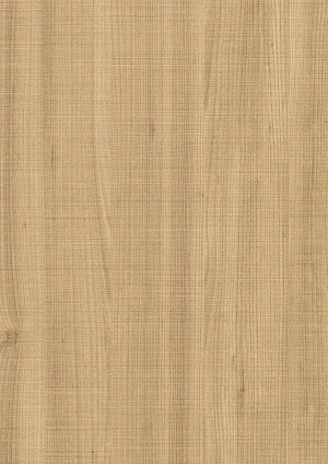 ModernWood Texture