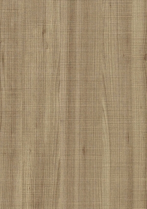 ModernWood Texture