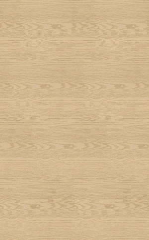 ModernWood Texture