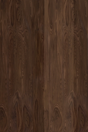 ModernWood Texture