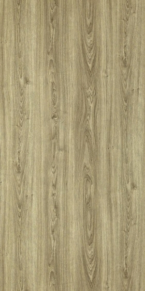 ModernWood Texture