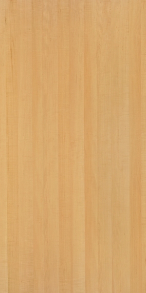 ModernWood Texture