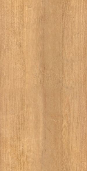 ModernWood Texture
