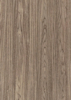 ModernWood Texture