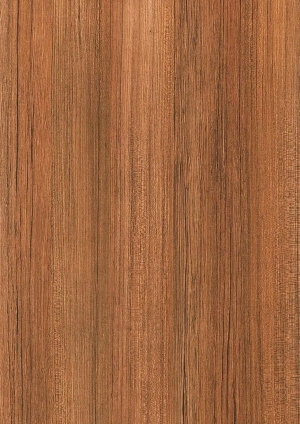 ModernWood Texture