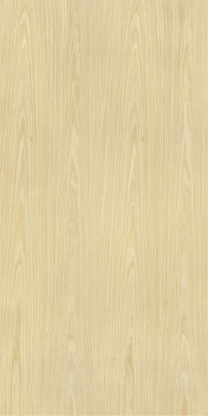 ModernWood Texture