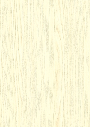 ModernWood Texture