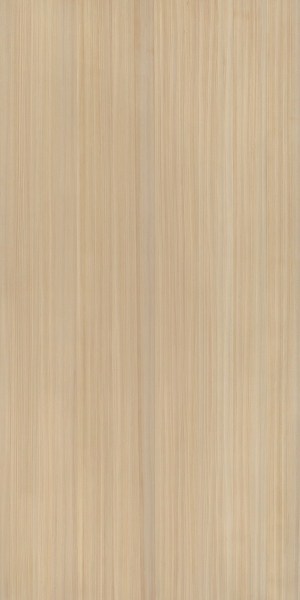 ModernWood Texture