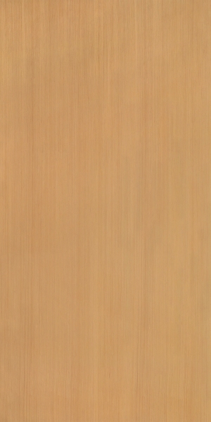 ModernWood Texture