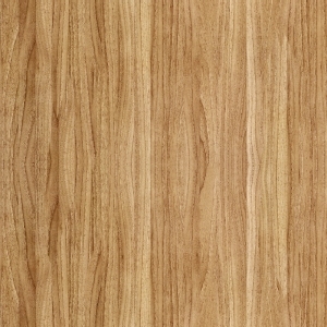 ModernWood Texture