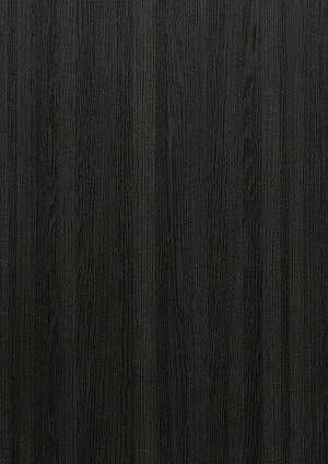 ModernWood Texture