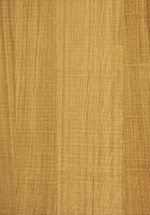ModernWood Texture