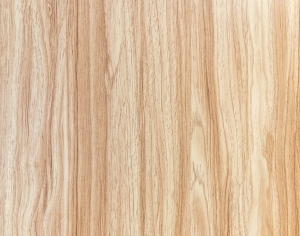 ModernWood Texture