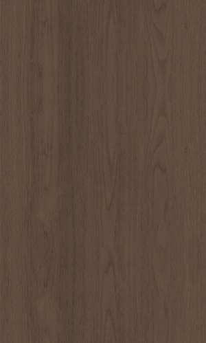 ModernWood Texture